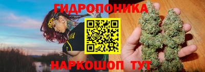 a pvp Тара