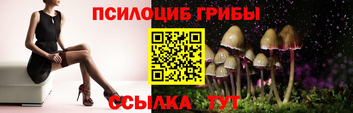 Псилоцибиновые грибы Cubensis Нижний Новгород
